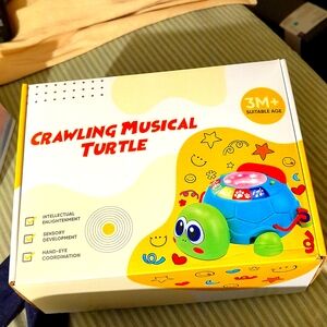 Crawling musical turtle